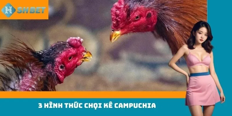 3 hình thức chọi kê Campuchia