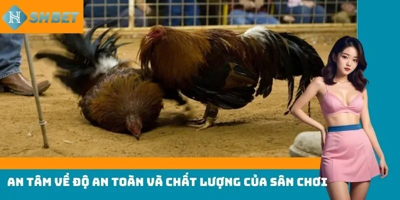 An tâm về độ an toàn và chất lượng của sân chơi