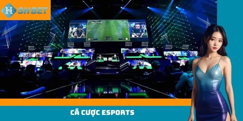 cá cược esports