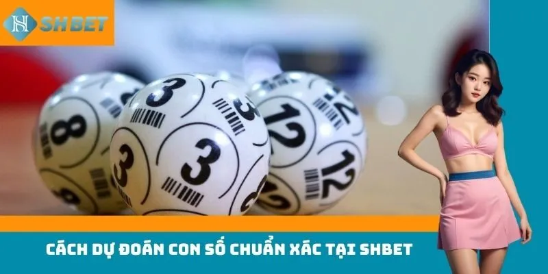 Cách dự đoán con số chuẩn xác từ dân chuyên