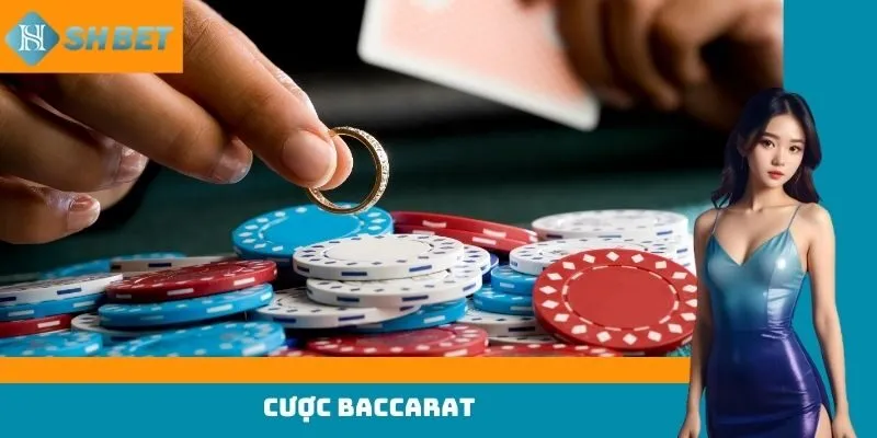 cược baccarat