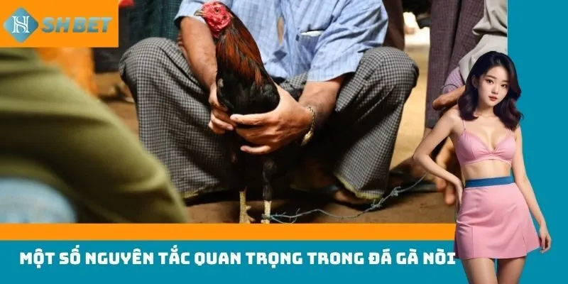 Một số nguyên tắc quan trọng trong đá gà nòi