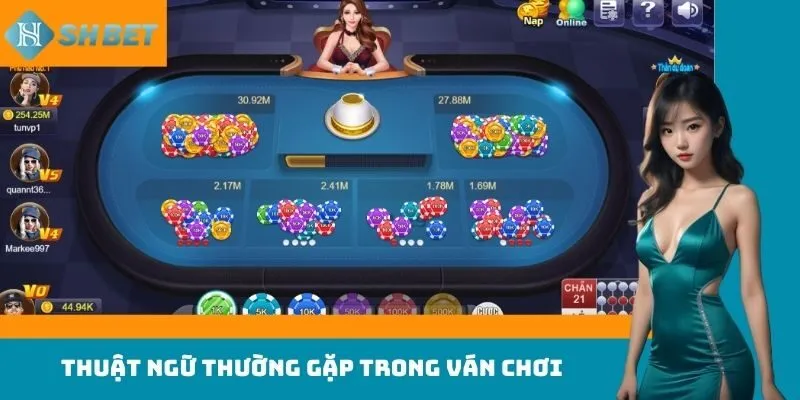 Thuật ngữ thường gặp trong ván chơi