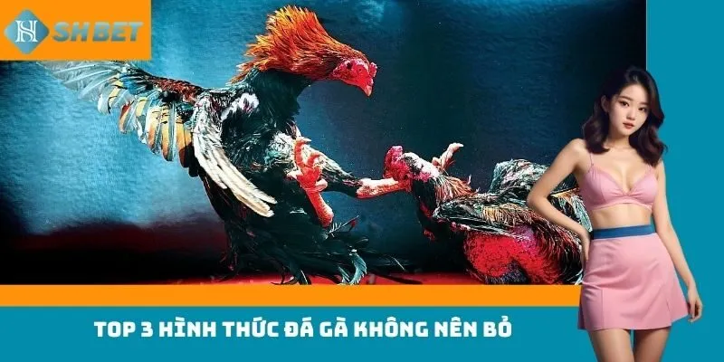 Top 3 hình thức đá gà không nên bỏ 