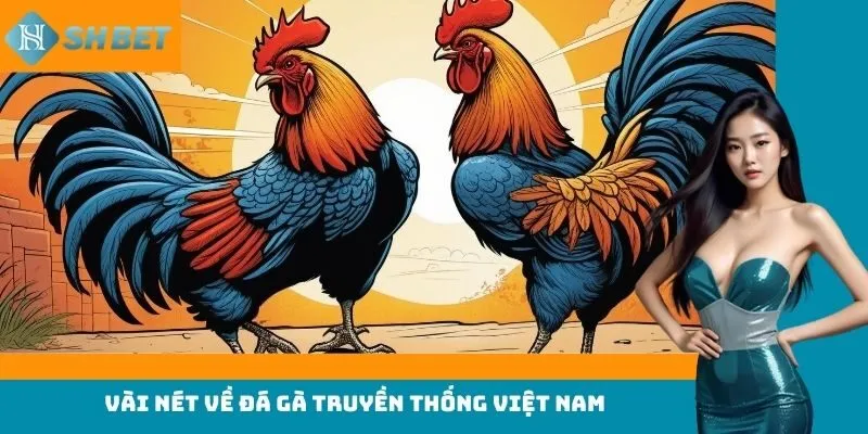 Vài nét về đá gà truyền thống Việt Nam