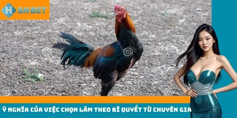 Ý nghĩa của việc chọn làm theo bí quyết từ chuyên gia